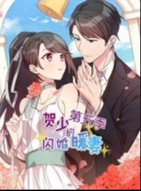 贺少的闪婚暖妻第五季