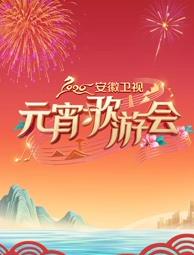 安徽卫视元宵歌游会